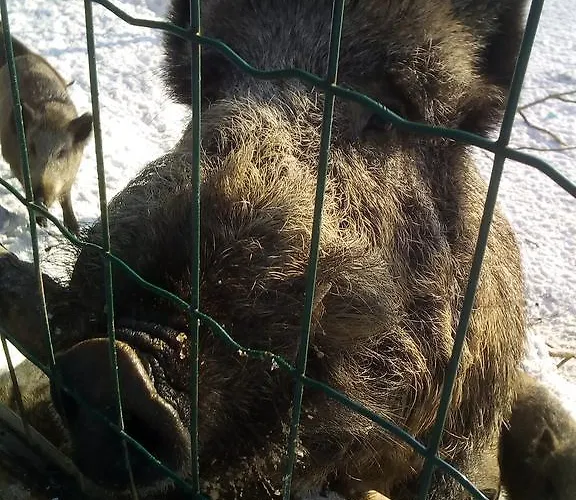 V Zahradni 아파트